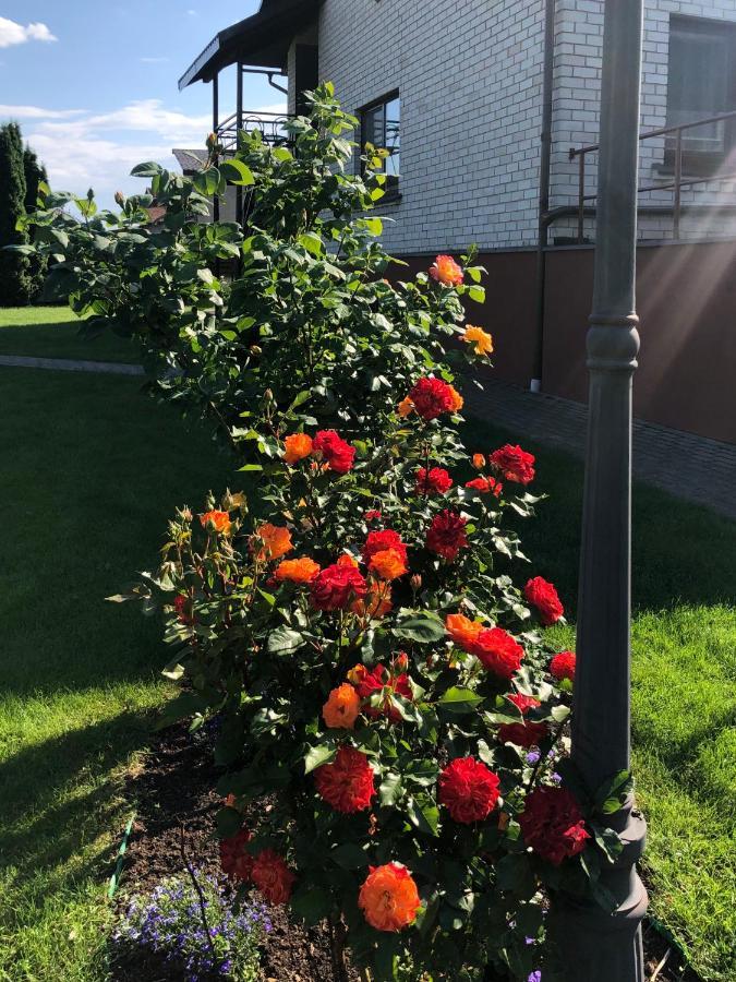 Arvydo Gylio Sodyba Ignalina Exterior foto